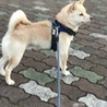 の写真
