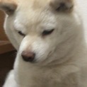 しばらく無理そう。