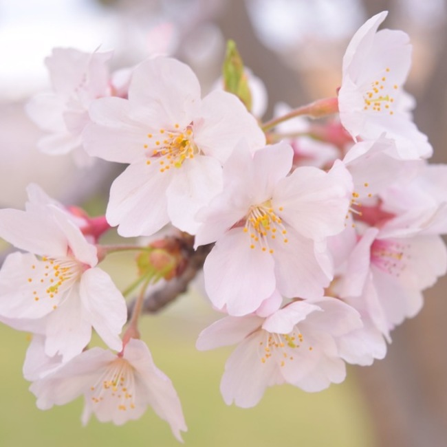 あいまる。のカバー写真