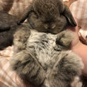 一旦中断いたします。