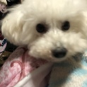 急募です