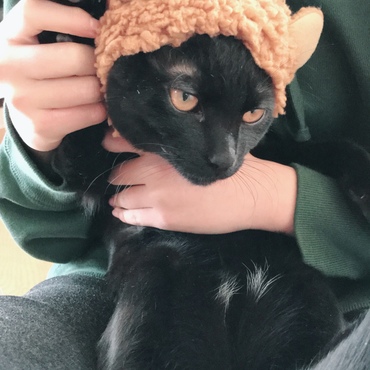 リラックにゃん