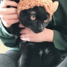 リラックにゃん