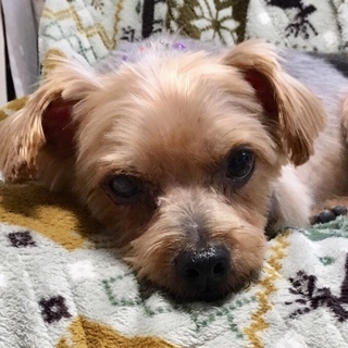 かわいいレオくん^ ^