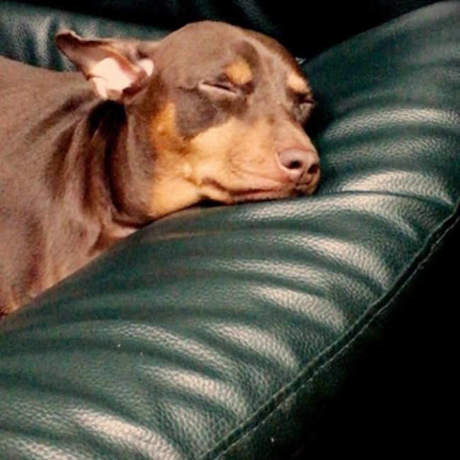 pepeandlisaのカバー写真