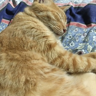 ☆ナナ☆のんびり屋の女のコ