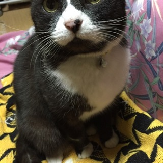 ★クー★超甘えん坊の男のコ