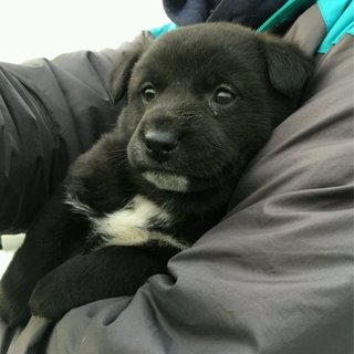 家族ができました！！