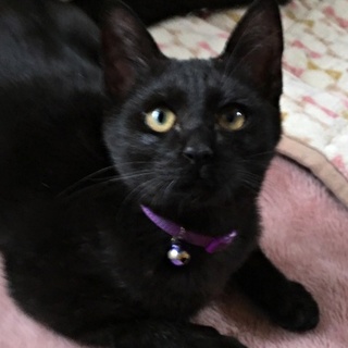 「面談予定」白ビキニの「多摩」くん♡