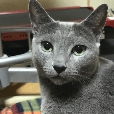 ポールです