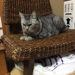 24時間と少し経過。そしてれんくんとみゅうちゃん。