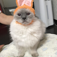 テン