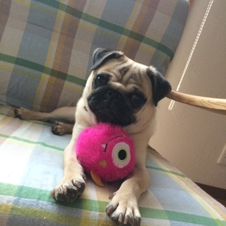 順次ご連絡いたします