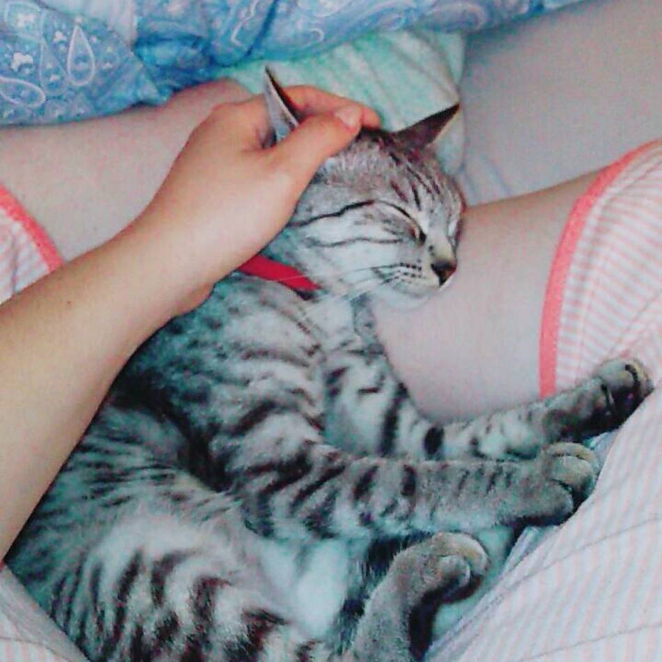 Ladyのカバー写真