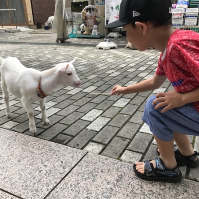 あさひやまとのカバー写真