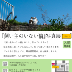 『飼い主のいない猫』写真展VOL２