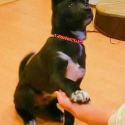 あけましておめでとうございます