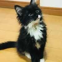 るな