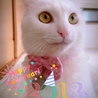 新年おめでとうございます