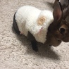 もこもこ。