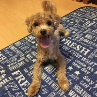 マッシュ
