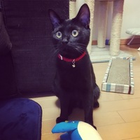 ヴァル