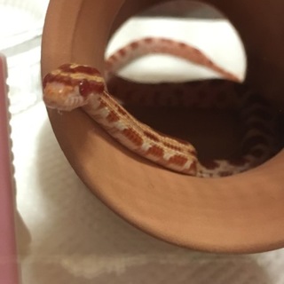 たくさんのご応募ありがとうございました。