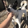 決定 サムネイル2