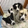 決定 サムネイル6