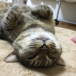 「冬でもでれ〜ん」サムネイル1