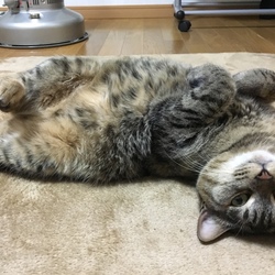 「冬でもでれ〜ん」サムネイル2