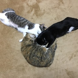 「冬でもでれ〜ん」サムネイル3