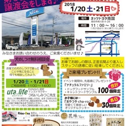 猫の譲渡会　　ネッツトヨタ南国inなまえのない猫 サムネイル1