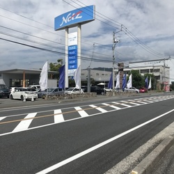 猫の譲渡会　　ネッツトヨタ南国inなまえのない猫 サムネイル2