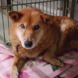 新しい家族ができました！！