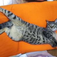 二実（にいみ）