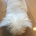 里親さんを探しています