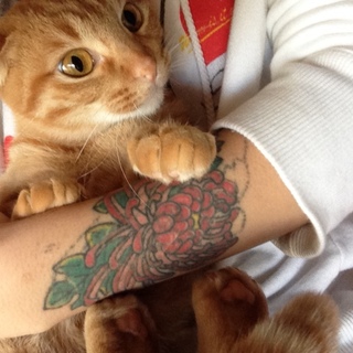 至急で募集してます！