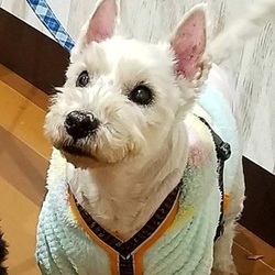 お陰様でラッキーな新年(*^▽^*)