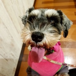 「お陰様でラッキーな新年(*^▽^*)」サムネイル2