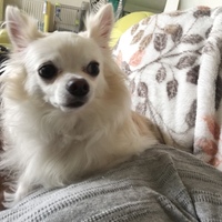 いち