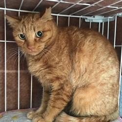 2017年末最後の最後に