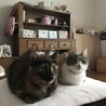 の写真