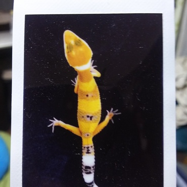 お迎え時にもらった写真。