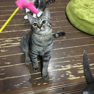 モジモジこん太♡♂