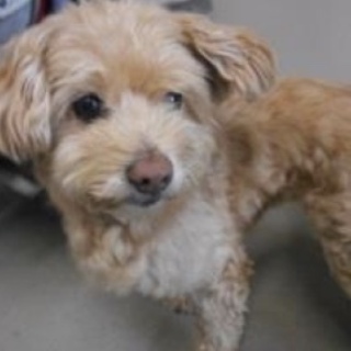 募集を停止させて頂きます