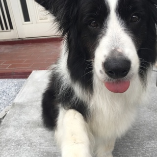 募集を中断させていただきます