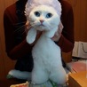 の写真