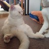 の写真
