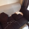 の写真
